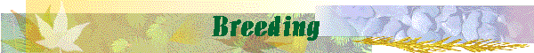 Breeding