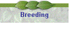 Breeding