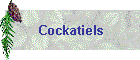 Cockatiels