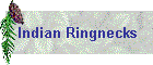 Indian Ringnecks