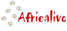 AfricaLive logo