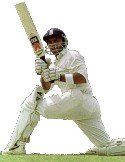Cricketer