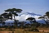 Kilimanjaro