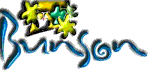 Bunson Travel Service