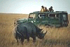 On safari...