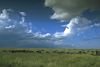 Serengeti Plains