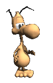 amir