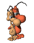 amir