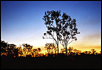 Kakadu Sunset