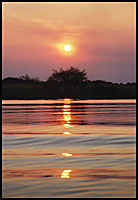 Shady Creek Sunset