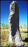Magnetic Termite Mound