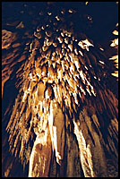 Cutta Cutta Caves