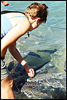 jen at the fish feeding