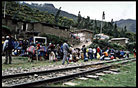 chaos reins at km82