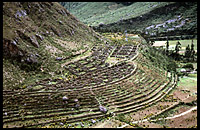 Patallacta ruins