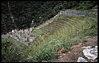 huinay huayna