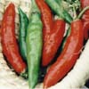 chili (8K)