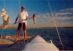 The Mystery Fish