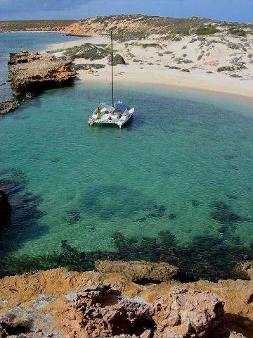 Sand, coral and desolation. That ring in the water is a school of small fish.