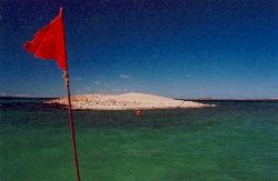 Egg Island