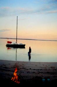 Oilslick Shark Bay