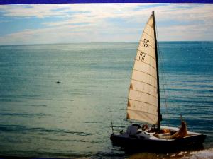 Off Cape Peron. Dolphins. Etc.