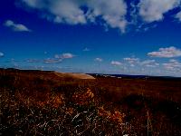 That's Adam and Eve in the distance. Plenty of snakes, too.