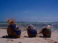 Wilson, Wilma and Wobin. At least they make sense.