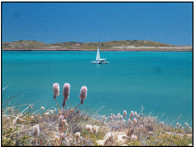 It is a bit puckering to see your boat sail away from an uninhabited island