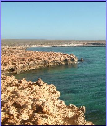 ozzie sea/landscape without further ado