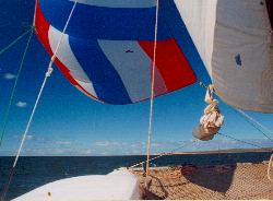 15.6 knots in the lee of Dirk Hartog Island
