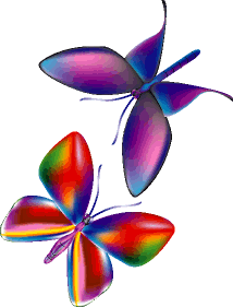 two very colorful butterflies, drawn using Illustrator