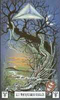 The Hanged Man
