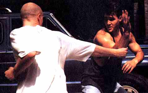Karate Warrior 3 [1991 TV Movie]