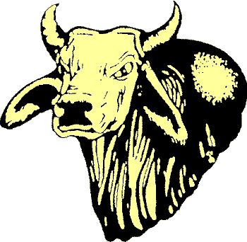 bull-logo-big.gif (13643 bytes)