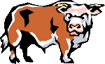 bull1.gif (4742 bytes)