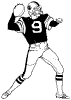 football.gif (1009 bytes)