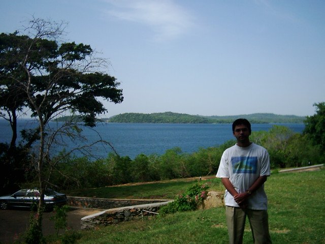 Photograph
