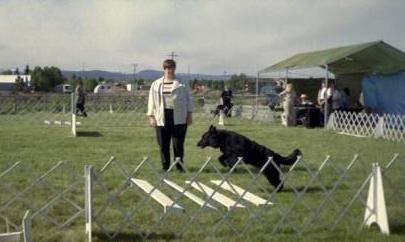 Open A - BSCA National, Montana 2000