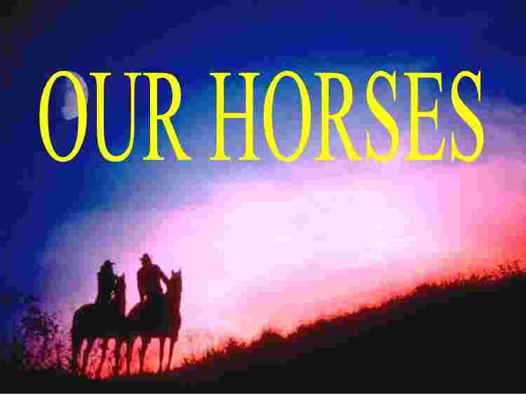 OUR HORSES