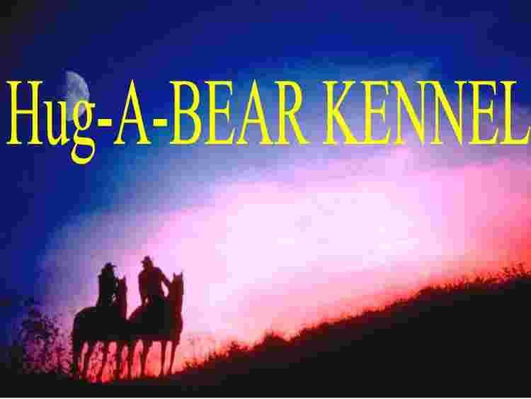 HUG-A-BEAR KENNEL