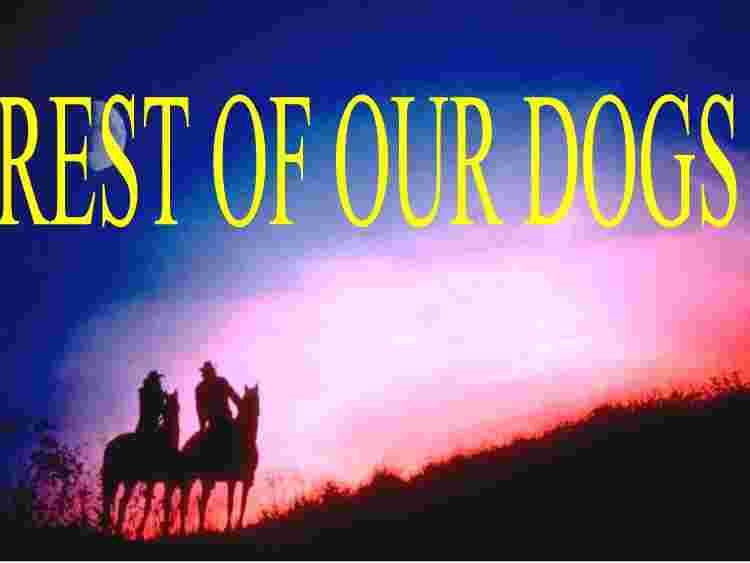 REST OF OUR DOGS