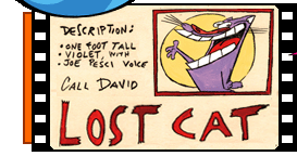 Lost Cat