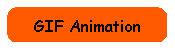 GIF Animation