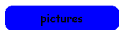 pictures