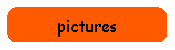 pictures