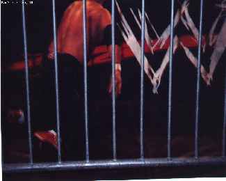 Slight miscalculation - Scotty falls off!