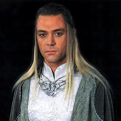 Marton Csokas as Celeborn