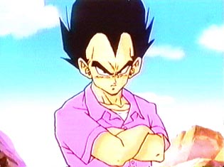 vegeta pink