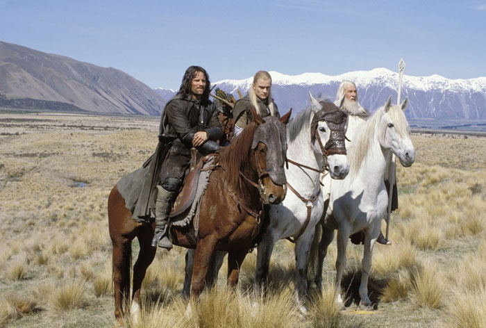 a prettier sight is hard to find than three beautiful horses and a gorgeous elf